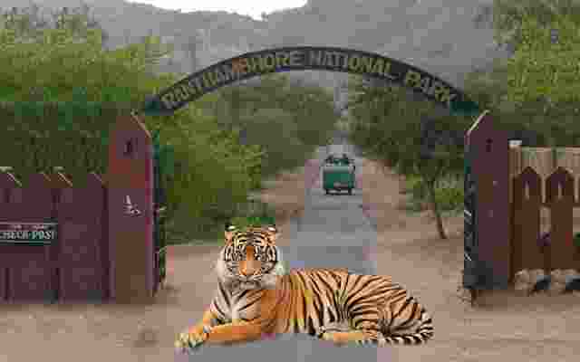 SC judges on two day trip to Ranthambore National Park SC judges on two day trip to Ranthambore National Park