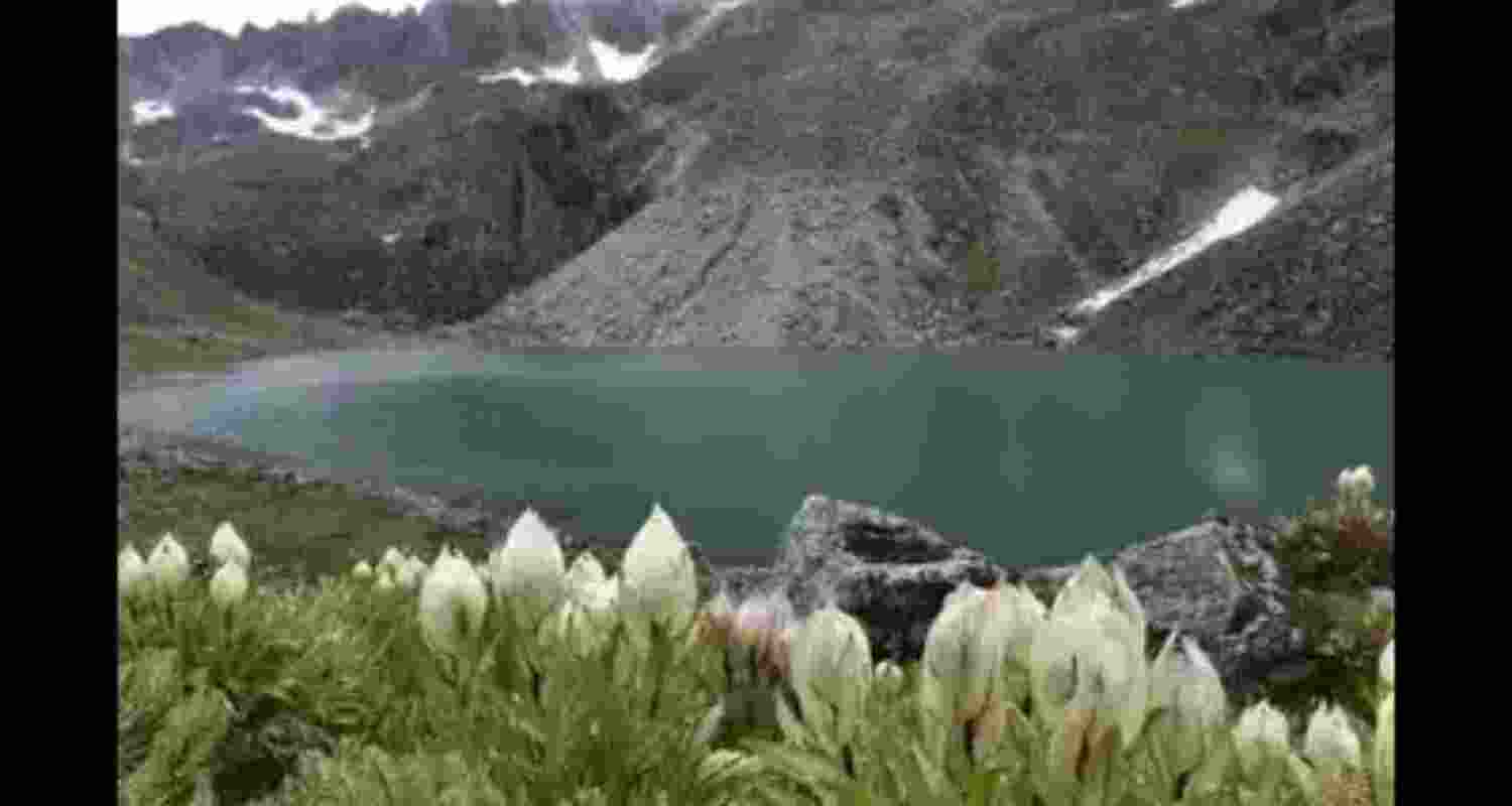 Representational Image. Representational Image.