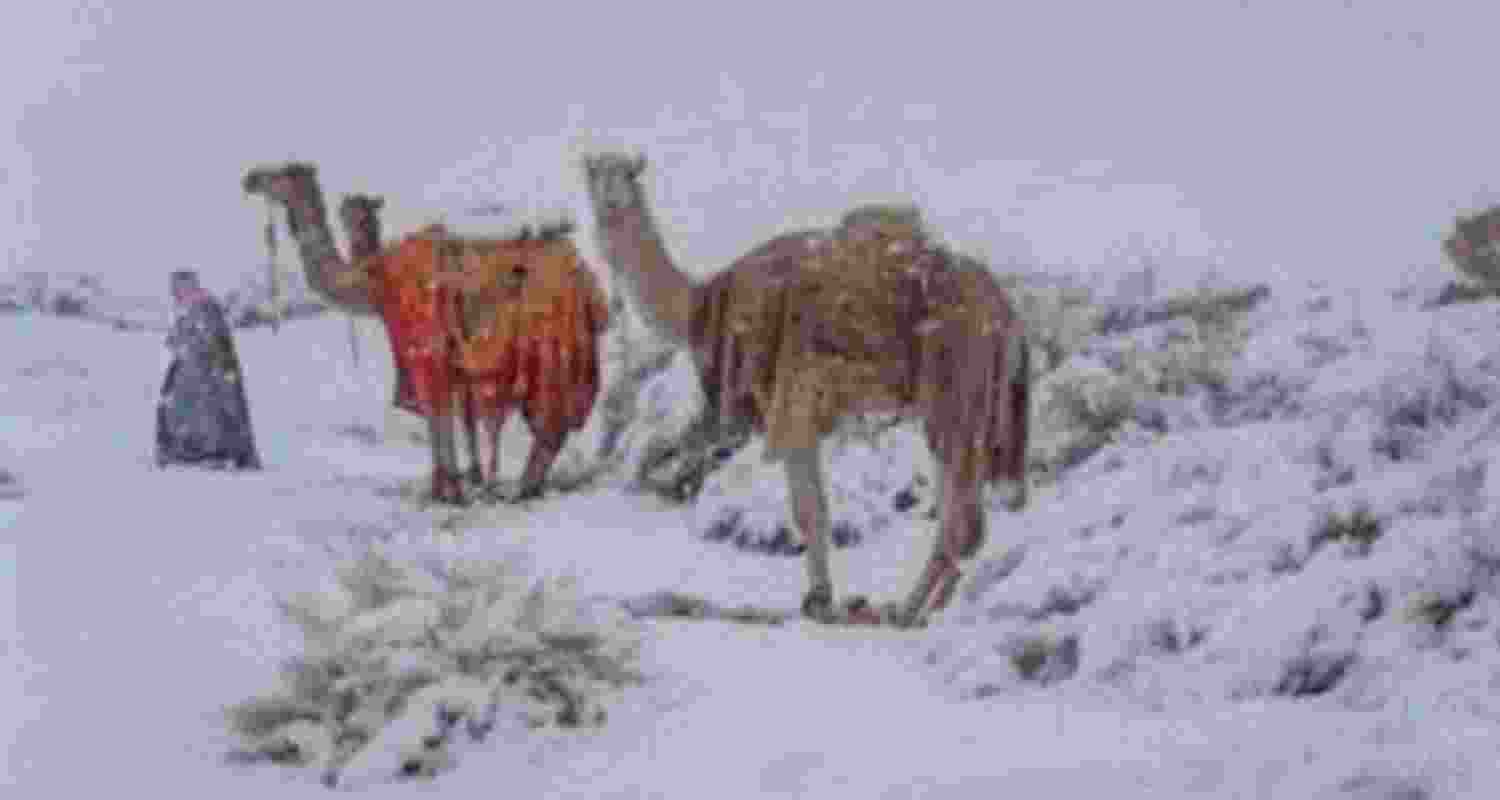 Snowfall blankets Saudi Arabia after 30 years Snowfall blankets Saudi Arabia after 30 years