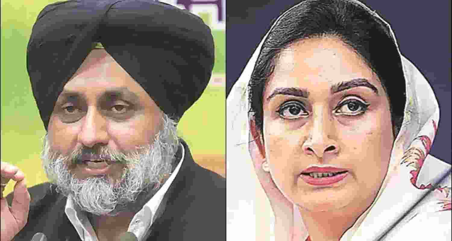 Senior Shiromani Akali Dal leaders Sukhbir and Harsimrat Kaur Badal Senior Shiromani Akali Dal leaders Sukhbir and Harsimrat Kaur Badal