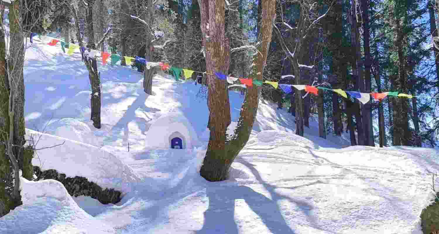 Representational image. Representational image.