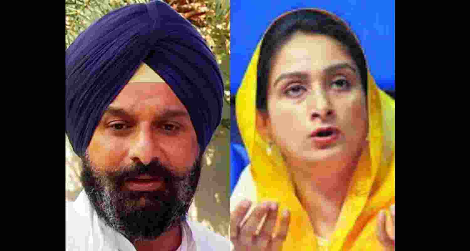Shiromani Akali Dal MP and former Union minister Harsimrat Kaur Badal ties a ‘rakhi’ to her brother, Akali leader Bikram Singh Majithia. Shiromani Akali Dal MP and former Union minister Harsimrat Kaur Badal ties a ‘rakhi’ to her brother, Akali leader Bikram Singh Majithia.