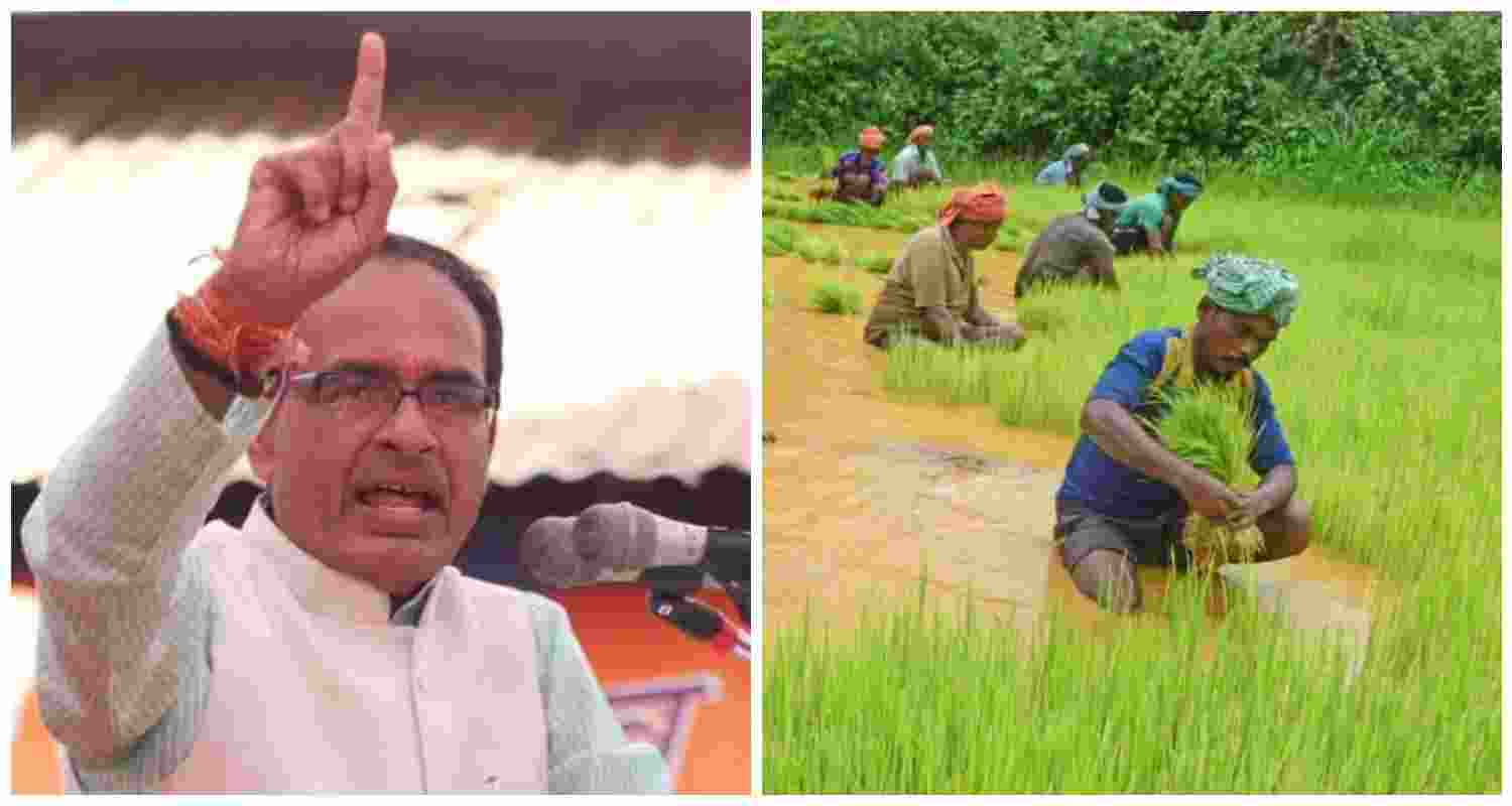 Union Minister Shivraj Singh Chouhan. File photo. Union Minister Shivraj Singh Chouhan. File photo.