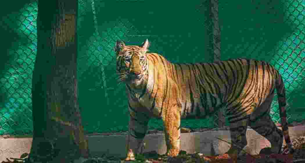 Image for representative use only. Image for representative use only.