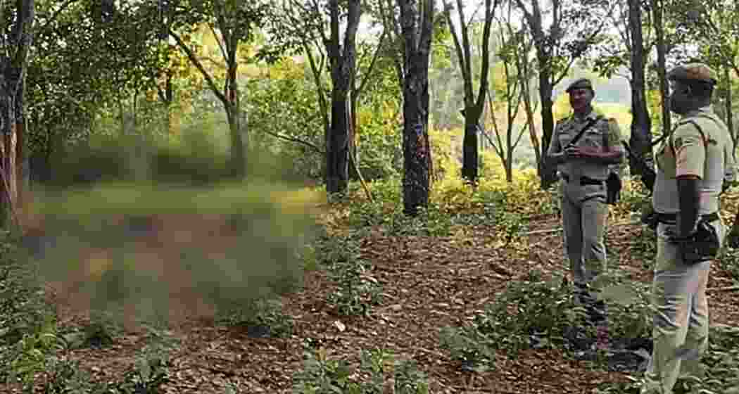Police inspect the dead bodies of three Bangladeshi nationals found near Bidyabil village, Tripura, following a border clash. Police inspect the dead bodies of three Bangladeshi nationals found near Bidyabil village, Tripura, following a border clash.