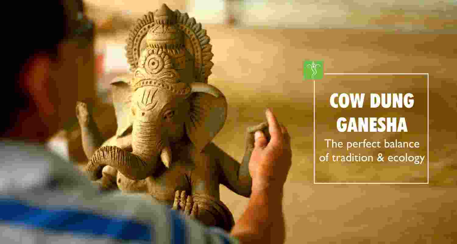 Green Ganesh Idols Made from Cow Dung See Growing Demand. Green Ganesh Idols Made from Cow Dung See Growing Demand.