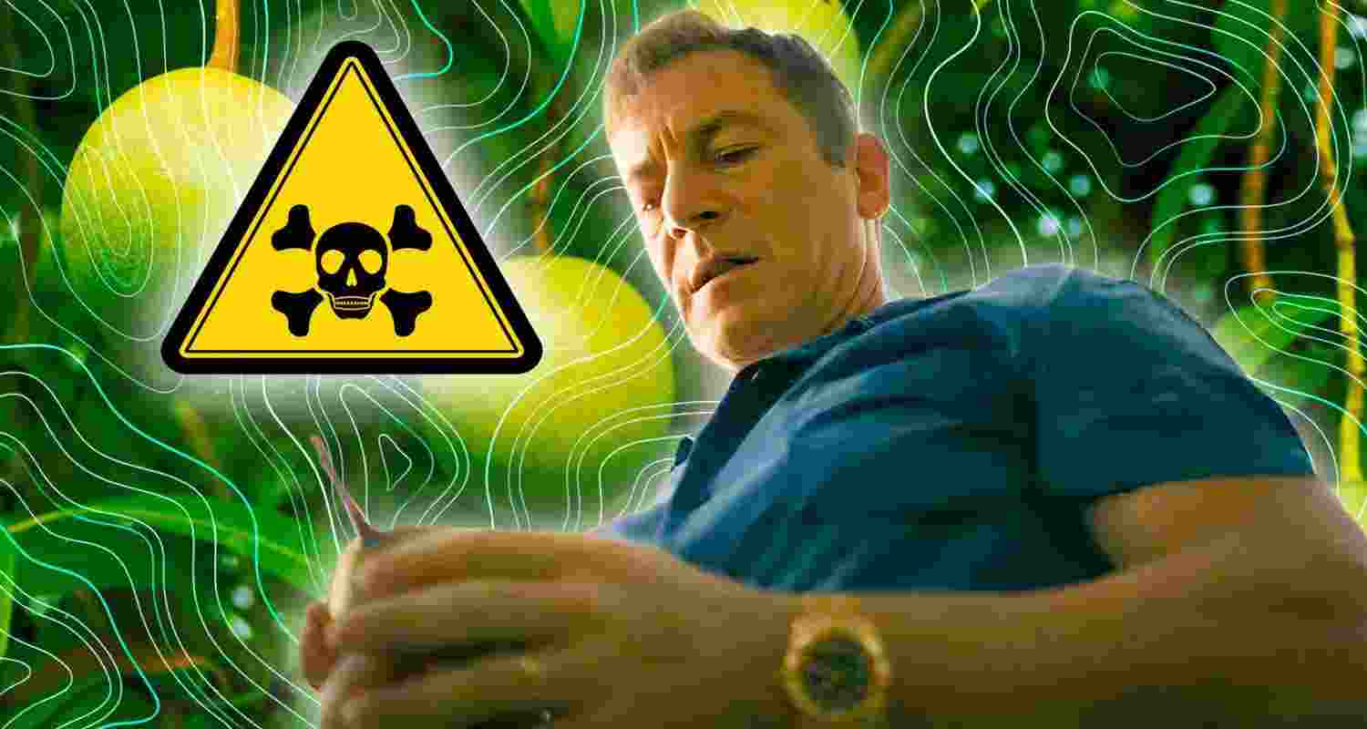 Yes that toxic White Lotus fruit can actually kill. Yes that toxic White Lotus fruit can actually kill.