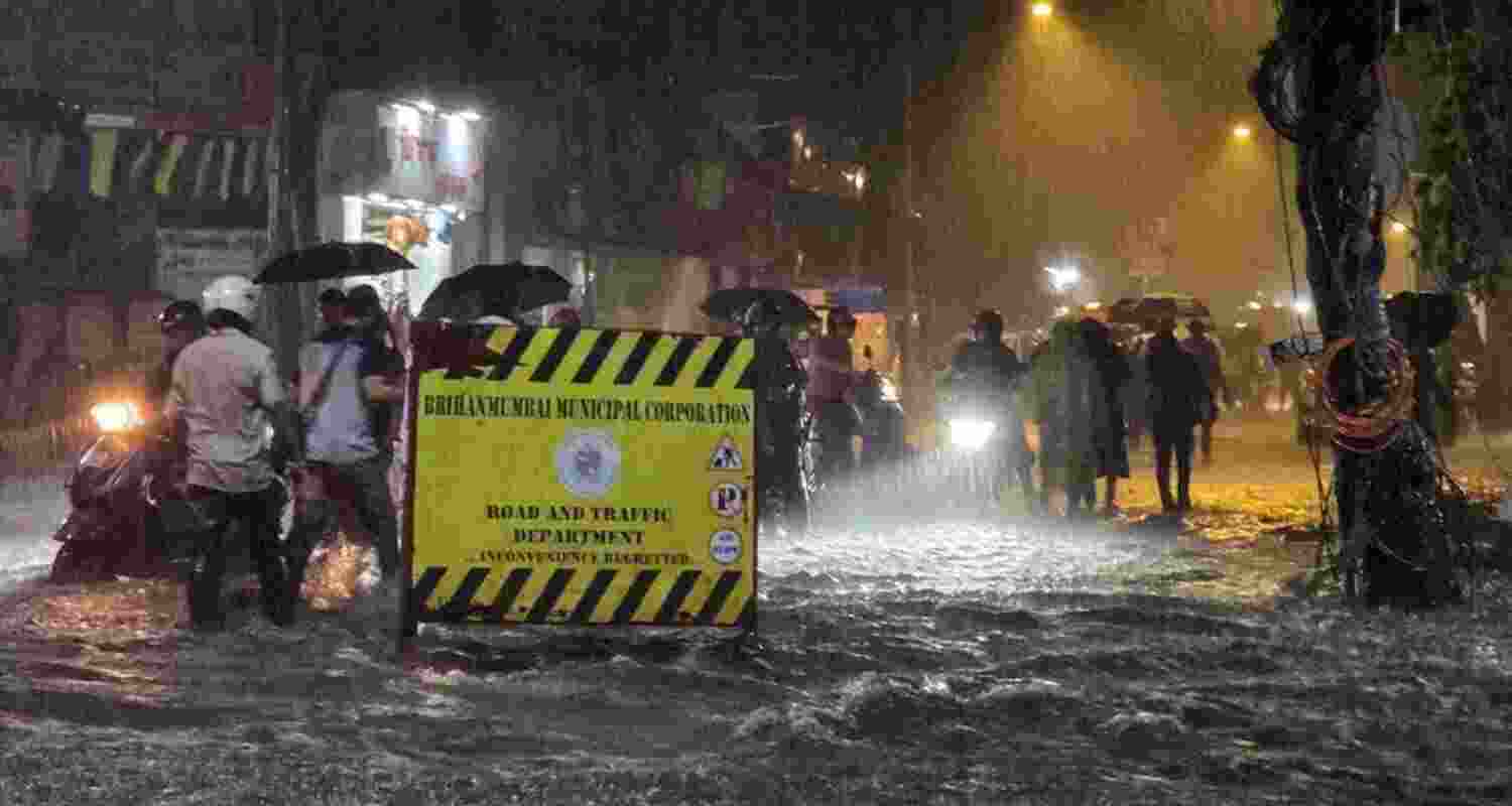 Nearly 1.5 crore acres of farmland hit by rains in Maharashtra. Nearly 1.5 crore acres of farmland hit by rains in Maharashtra.