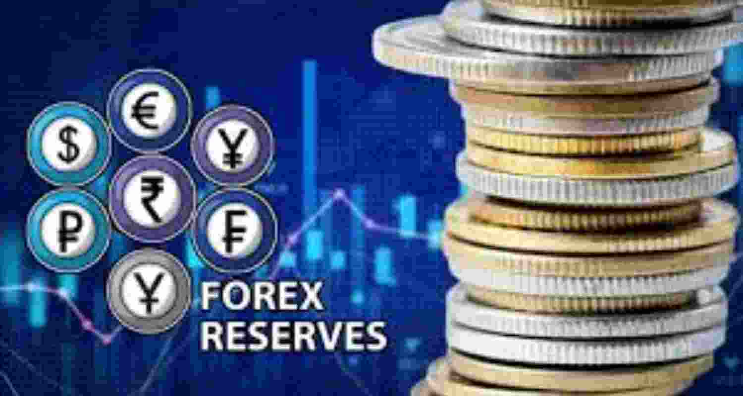 Representative Image Representative Image