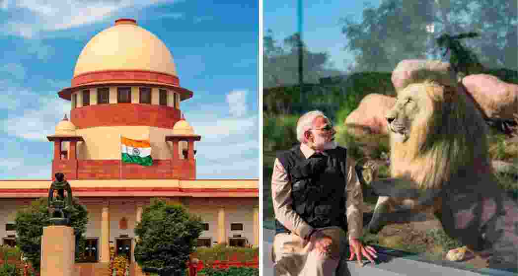 (L) Supreme Court; Prime Minister Narendra Modi during his visit to Vantara earlier this year. (File photos) (L) Supreme Court; Prime Minister Narendra Modi during his visit to Vantara earlier this year. (File photos)