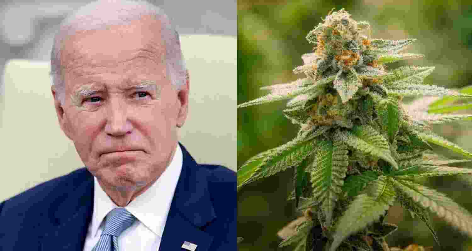 Marijuana was first outlawed at the federal level in 1937, a decision critics argue was rooted in racist ideologies, associating the drug with jazz music, the Black community, and Mexican immigrants. Marijuana was first outlawed at the federal level in 1937, a decision critics argue was rooted in racist ideologies, associating the drug with jazz music, the Black community, and Mexican immigrants.