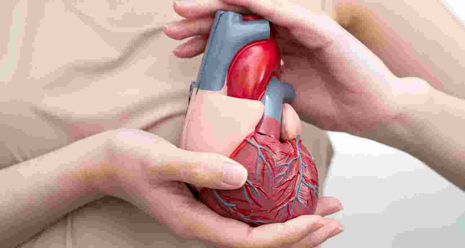 Researchers develop mammogram AI for heart risk prediction Researchers develop mammogram AI for heart risk prediction