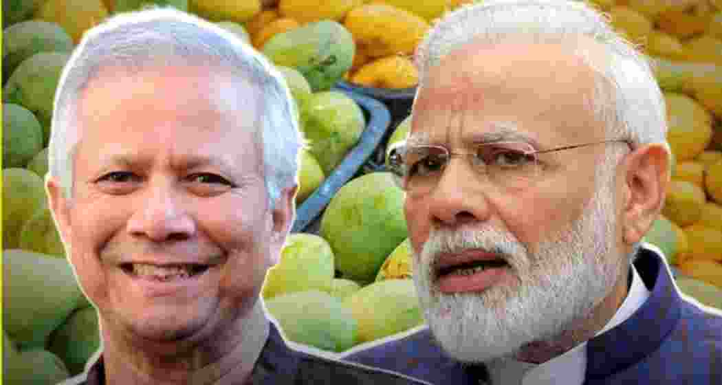 Bangladesh chief advisor Muhammad Yunus (L) is sending premium mangoes to Indian Prime Minister Narendra Modi (R) in a symbolic gesture aimed at restoring warmth in the currently strained bilateral relationship. Bangladesh chief advisor Muhammad Yunus (L) is sending premium mangoes to Indian Prime Minister Narendra Modi (R) in a symbolic gesture aimed at restoring warmth in the currently strained bilateral relationship.