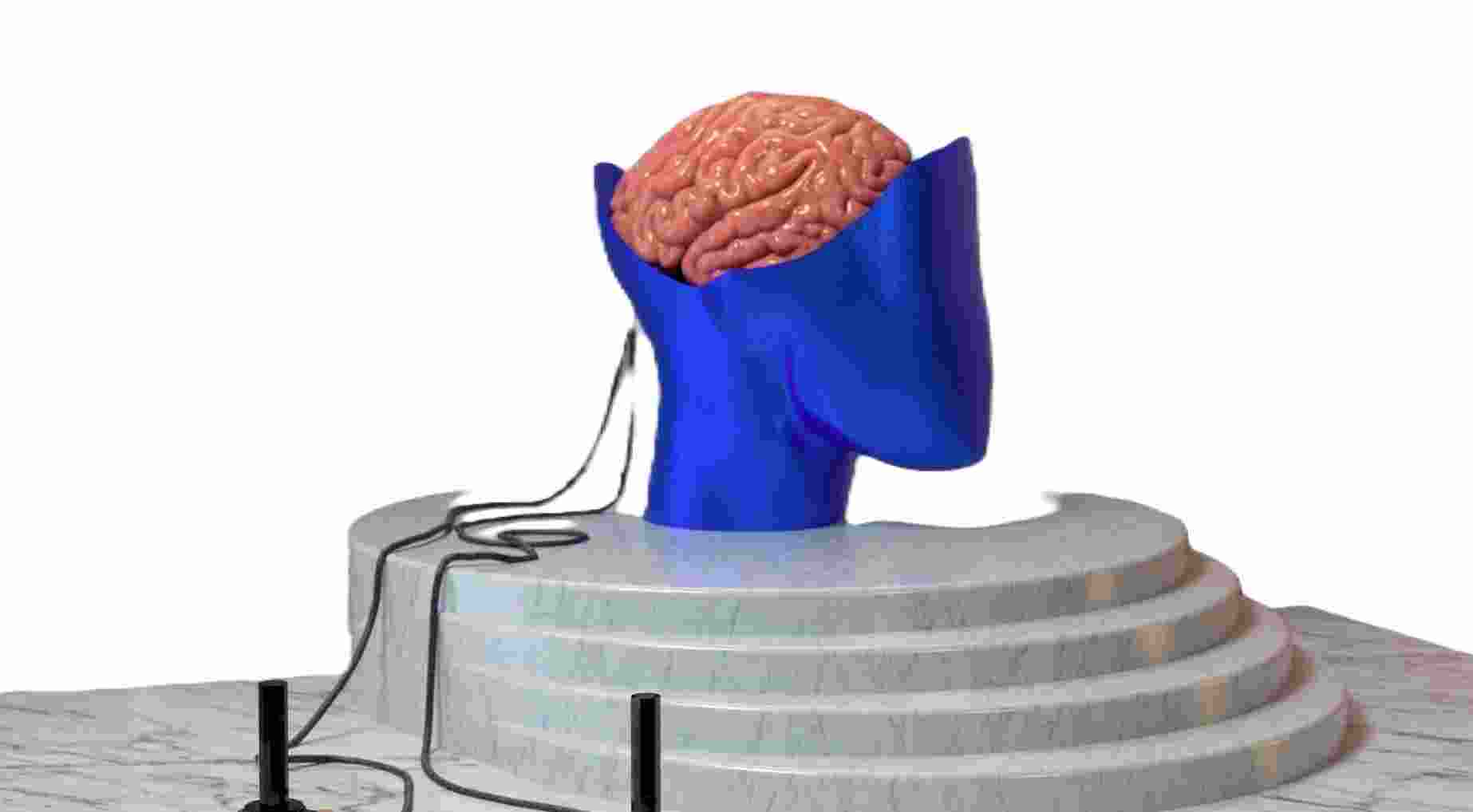 Scientists have discovered that when mice with Alzheimer’s inhaled menthol, their cognitive abilities improved.  Scientists have discovered that when mice with Alzheimer’s inhaled menthol, their cognitive abilities improved.
