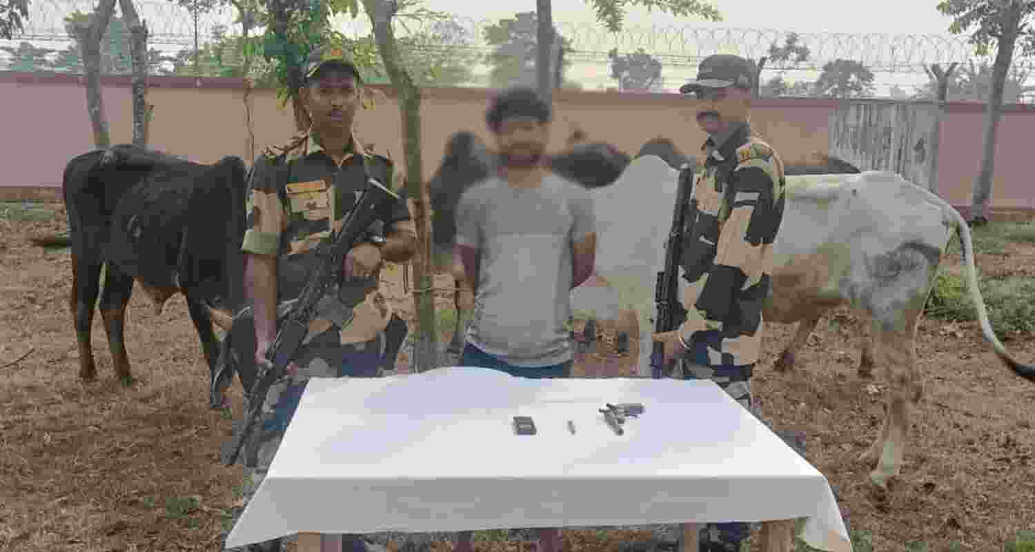 BSF jawan attacked while stopping cow smuggling in WB BSF jawan attacked while stopping cow smuggling in WB