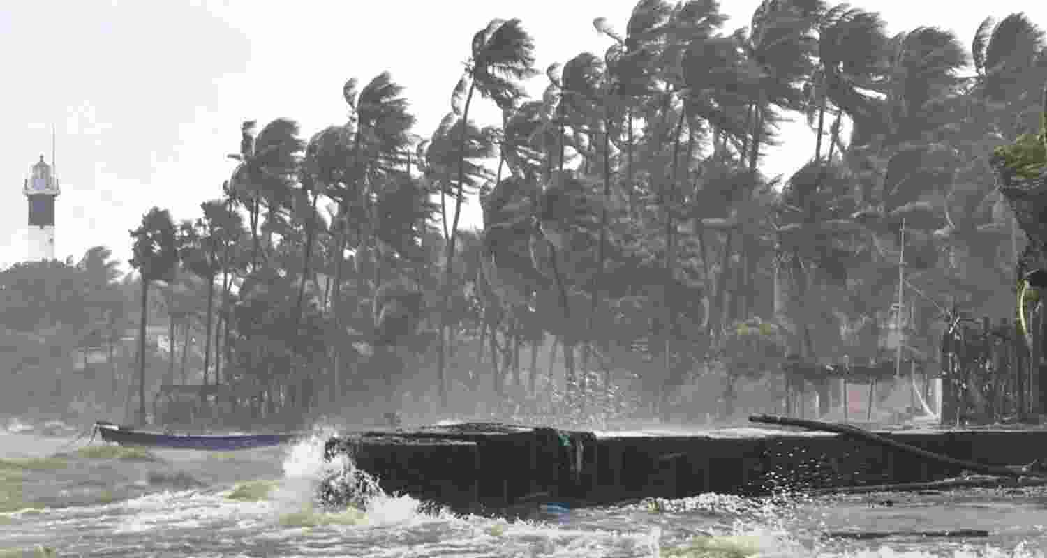 Strong winds bend trees and waves crash against a seawall during rough sea conditions triggered by Cyclone Ditwah, in Ramanathapuram, Tamil Nadu. Strong winds bend trees and waves crash against a seawall during rough sea conditions triggered by Cyclone Ditwah, in Ramanathapuram, Tamil Nadu.