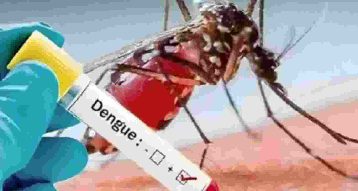 Dengue cases surpass 10K mark in Karnataka Dengue cases surpass 10K mark in Karnataka