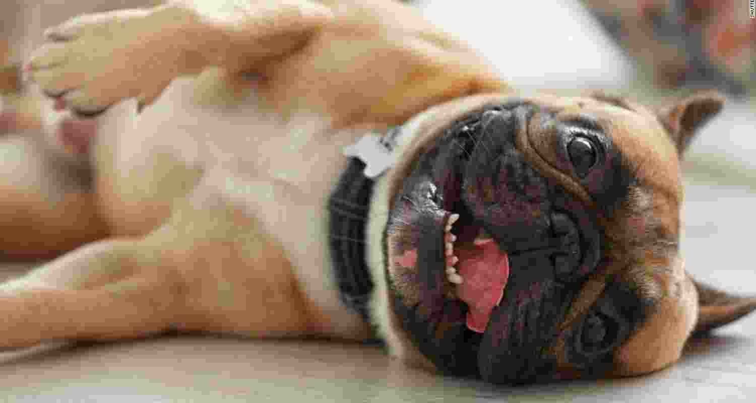 Representational image. Representational image.