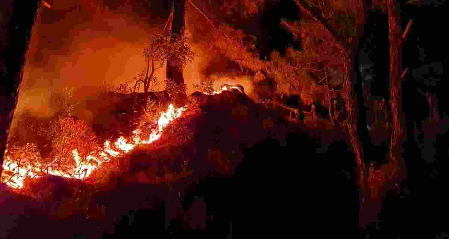 Forest fires were seen in six districts of Jammu and Kashmir. Forest fires were seen in six districts of Jammu and Kashmir.