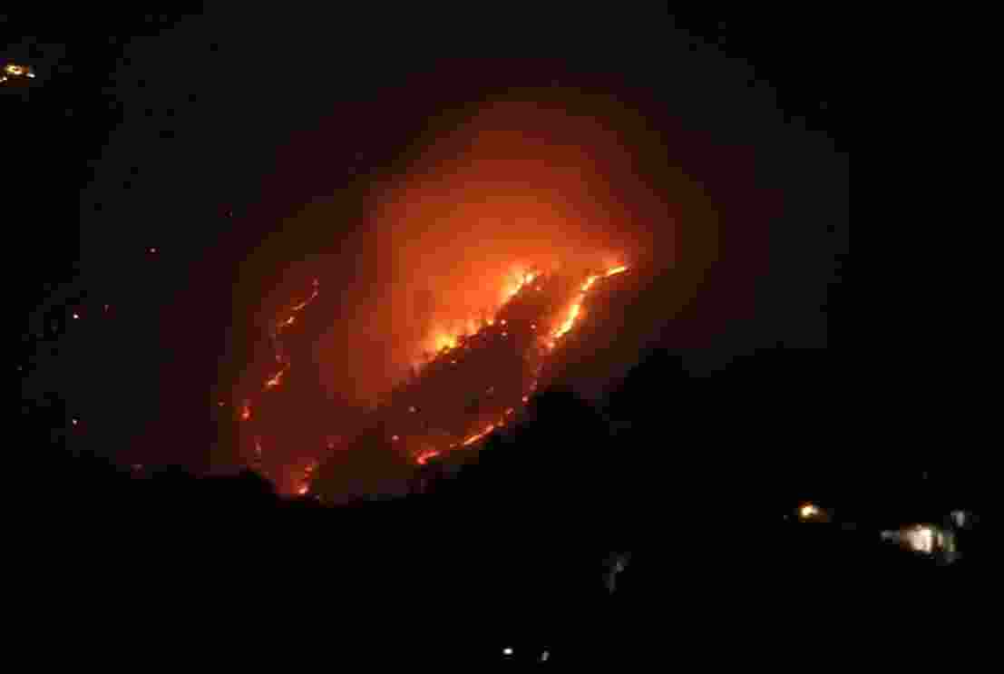 The state government informed the court that 398 fires, all man-made, had been reported from November till today with the death toll at five. The state government informed the court that 398 fires, all man-made, had been reported from November till today with the death toll at five.