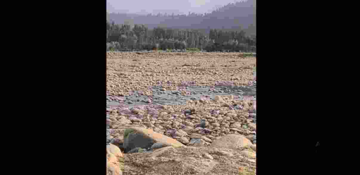 This alarming shortfall, observed from January 1 to July 25, has raised serious concerns about potential water shortage and its detrimental impact on agriculture. This alarming shortfall, observed from January 1 to July 25, has raised serious concerns about potential water shortage and its detrimental impact on agriculture.