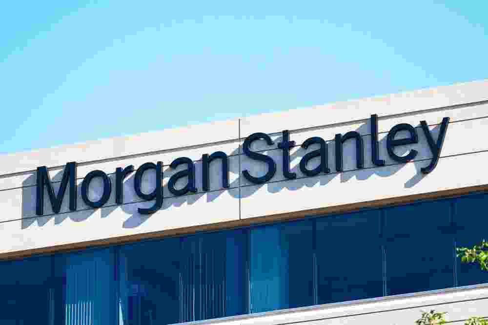 India's economy is experiencing a robust expansion driven primarily by investment, say economists at Morgan Stanley.  India's economy is experiencing a robust expansion driven primarily by investment, say economists at Morgan Stanley.
