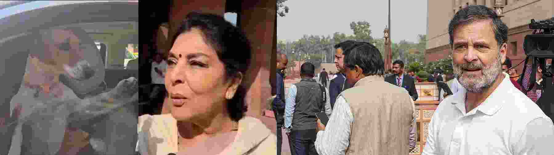 Parliament dignity hurt by Rahul, Renuka 'dog' statement : BJP Parliament dignity hurt by Rahul, Renuka 'dog' statement : BJP