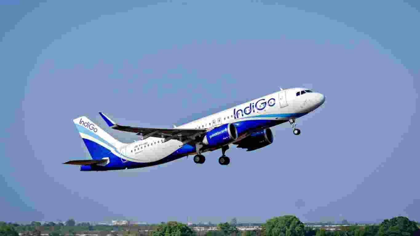 PIL seeks fourfold compensation for Indigo cancellations, inquiry PIL seeks fourfold compensation for Indigo cancellations, inquiry