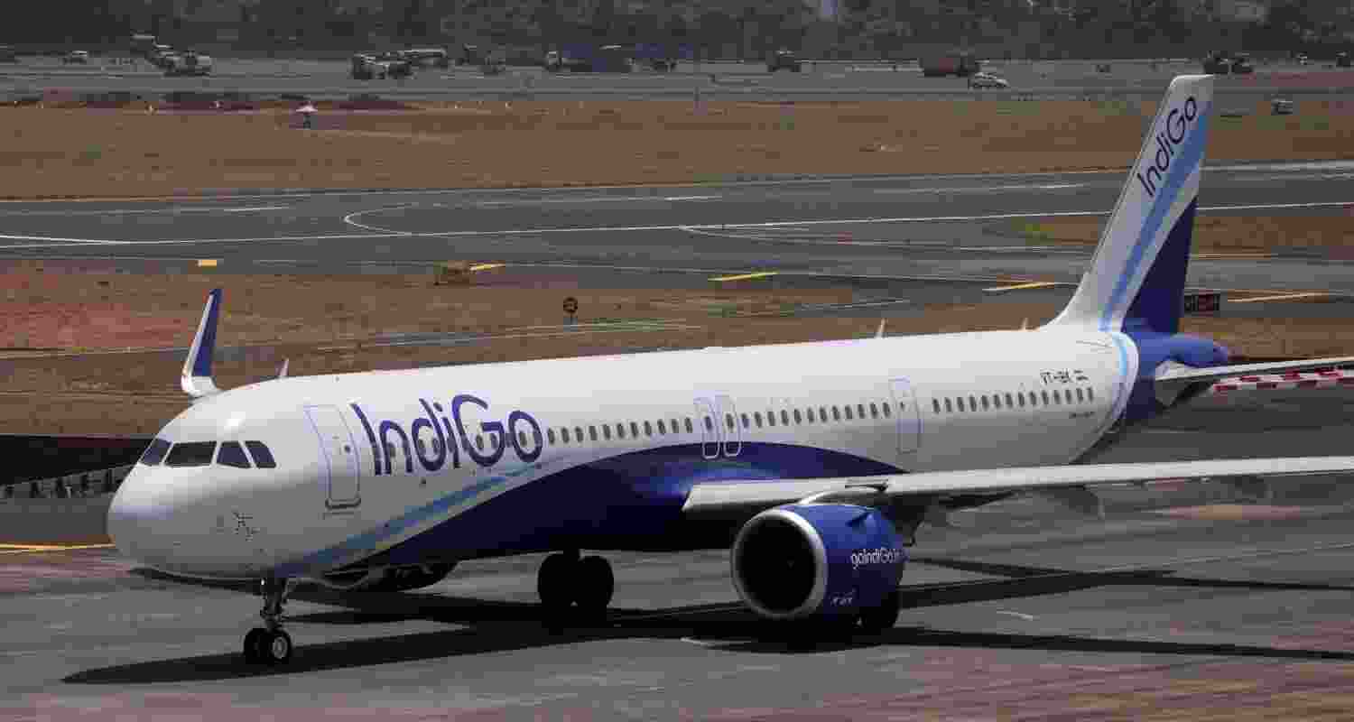 A representative image. A representative image.