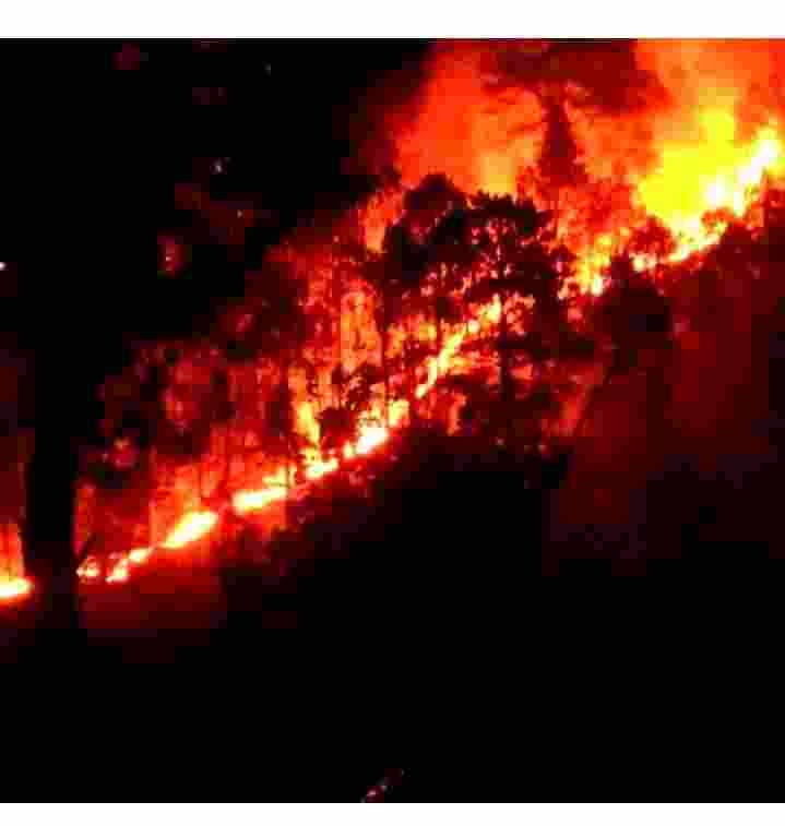 The fire, which started in the Dhara Dogano area of the Basholi belt in the Kathua district and quickly spread to regions close by, was put out after several hours of firefighting by forest department officials and local residents.  The fire, which started in the Dhara Dogano area of the Basholi belt in the Kathua district and quickly spread to regions close by, was put out after several hours of firefighting by forest department officials and local residents.