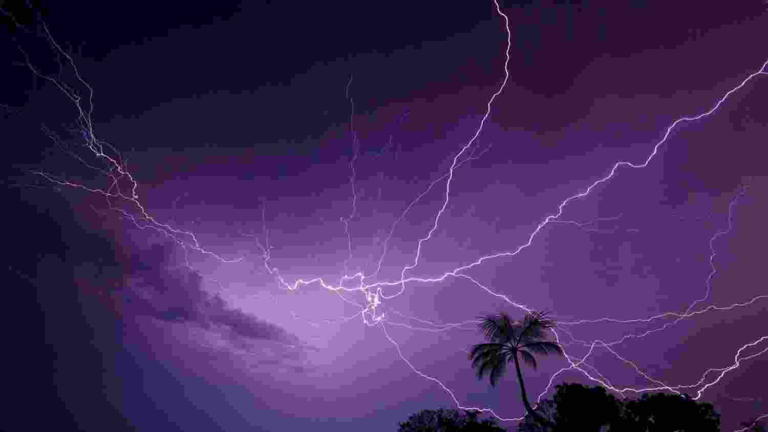 Lightning strikes kill 5 in one day In Odisha Lightning strikes kill 5 in one day In Odisha