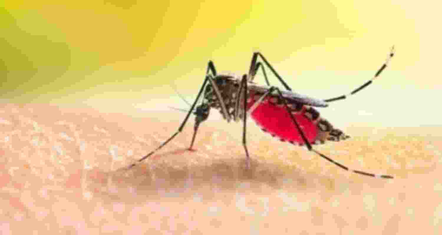 Malaria associated with ageing Malaria associated with ageing