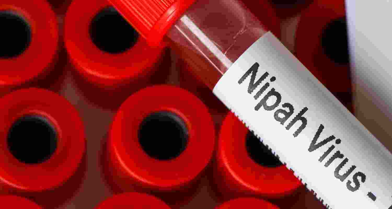 Kerala tightens containment measures after fresh Nipah case Kerala tightens containment measures after fresh Nipah case