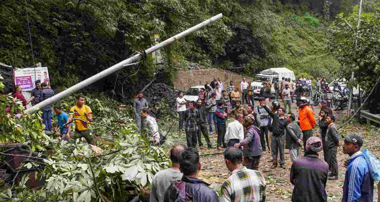 Vehicles stuck in a jam after a road blocked by a tree that uprooted due to heavy rainfall, in Shimla, Thursday.  Vehicles stuck in a jam after a road blocked by a tree that uprooted due to heavy rainfall, in Shimla, Thursday.