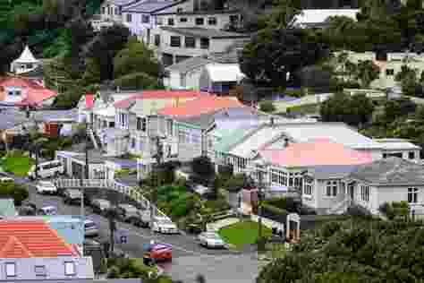 Renowned for its breathtaking landscapes and progressive policies, New Zealand is tightening its visa regulations after a surge in migration. Renowned for its breathtaking landscapes and progressive policies, New Zealand is tightening its visa regulations after a surge in migration.