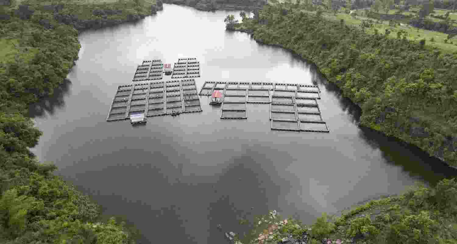 Fish cages in what used to be coal pits in Jharkhand Fish cages in what used to be coal pits in Jharkhand