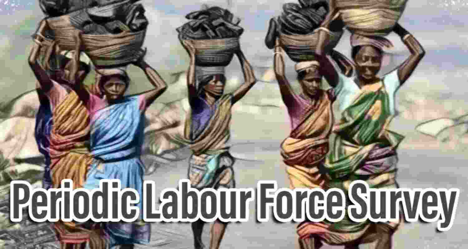 PLFS data shows India jobless rate down to 5.2 percent. PLFS data shows India jobless rate down to 5.2 percent.