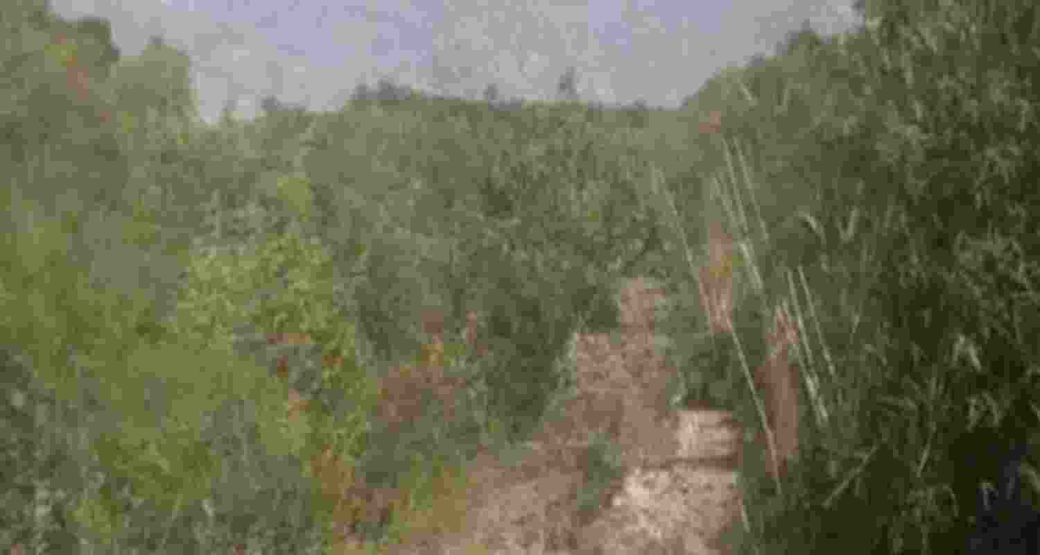 The site in Narwal where shells were defused by J&K Police The site in Narwal where shells were defused by J&K Police