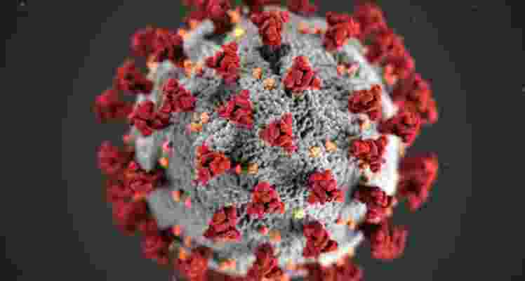 COVID19, disease, india, corona, omicron, JN,1 variant, daily, new cases, health COVID19, disease, india, corona, omicron, JN,1 variant, daily, new cases, health