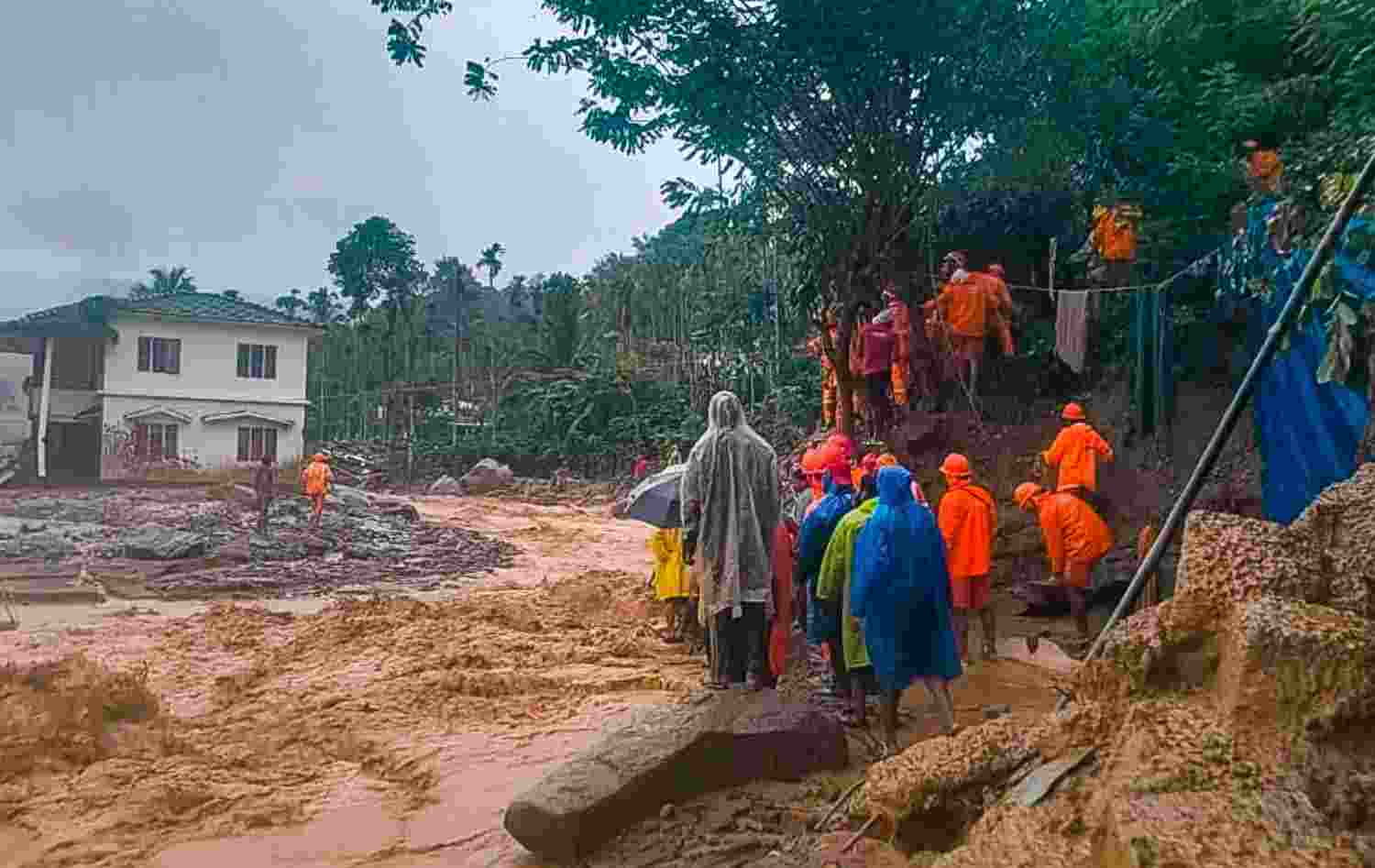 Wayanad landslides linked to climate change, deforestation Wayanad landslides linked to climate change, deforestation