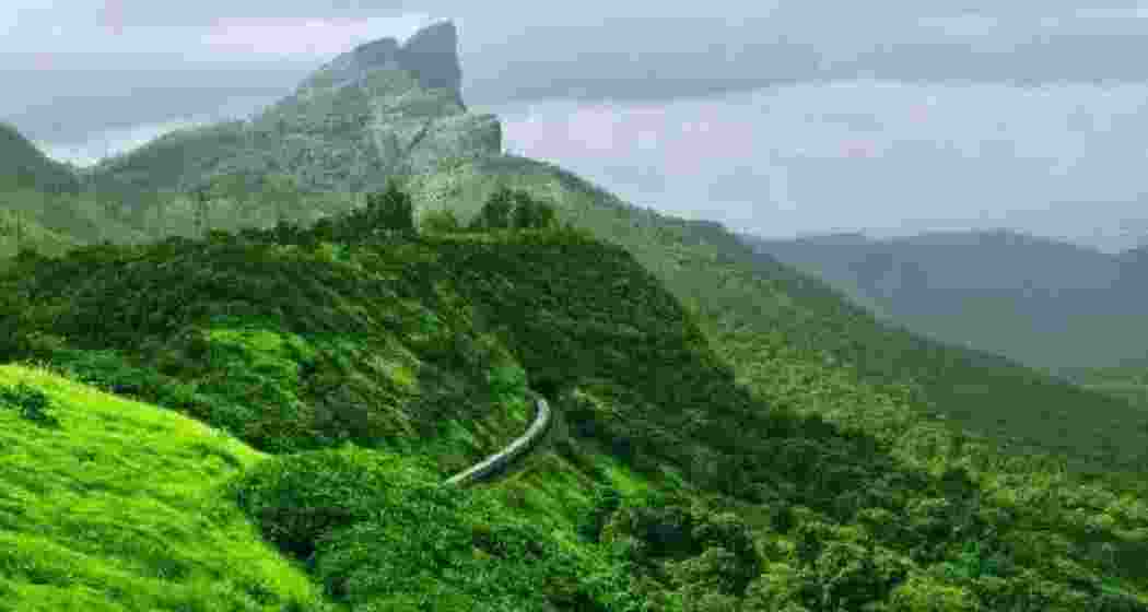 A breathtaking view of the serene and lush Western Ghats, rich in biodiversity and natural beauty. A breathtaking view of the serene and lush Western Ghats, rich in biodiversity and natural beauty.