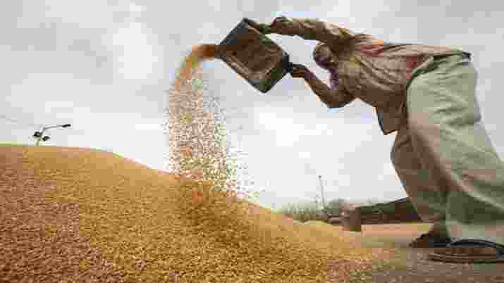 Amid ongoing Lok Sabha election fervor, the Centre plans a significant increase in wheat purchase from non-traditional states like Uttar Pradesh, Rajasthan, and Bihar, aiming for a seven-fold jump to 50 lakh tonnes in the 2024-25 marketing year. Amid ongoing Lok Sabha election fervor, the Centre plans a significant increase in wheat purchase from non-traditional states like Uttar Pradesh, Rajasthan, and Bihar, aiming for a seven-fold jump to 50 lakh tonnes in the 2024-25 marketing year.