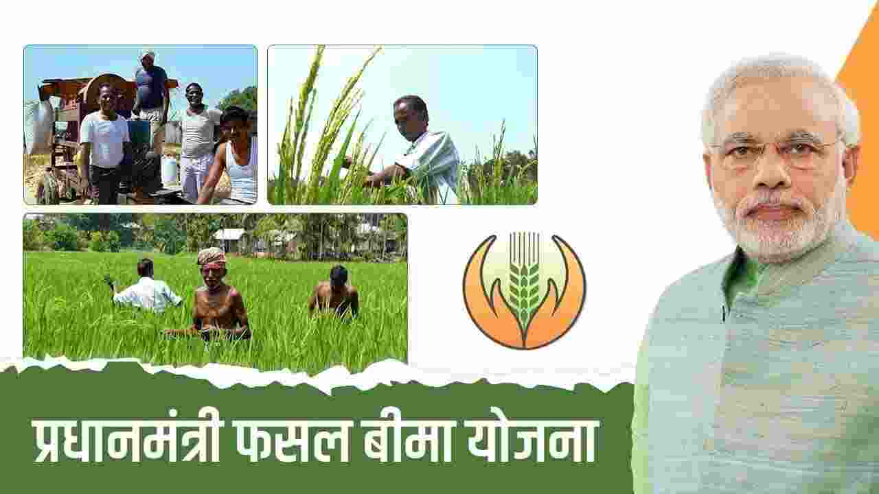 Enrollment in Crop Insurance Scheme Surges; Farmers Benefit from PMFBY Enrollment in Crop Insurance Scheme Surges; Farmers Benefit from PMFBY