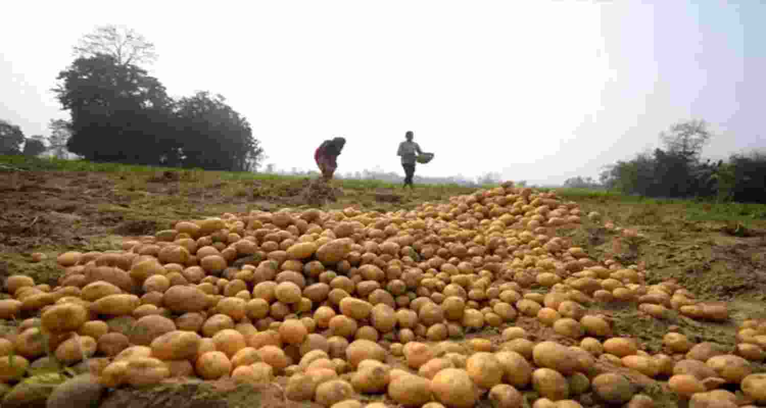 Representational image. Representational image.