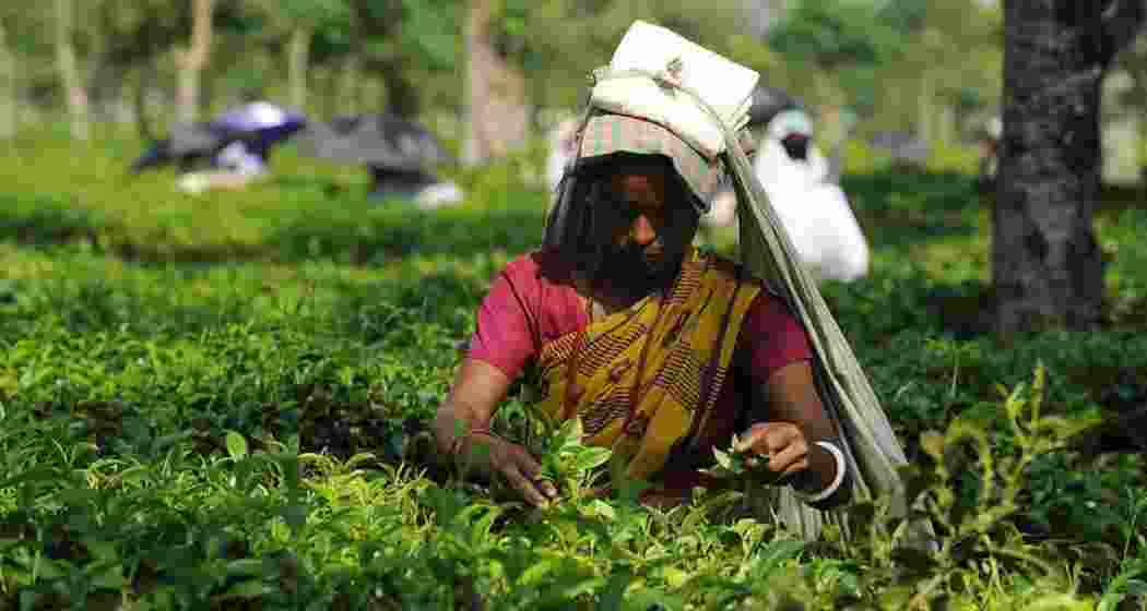 Representational image. Representational image.