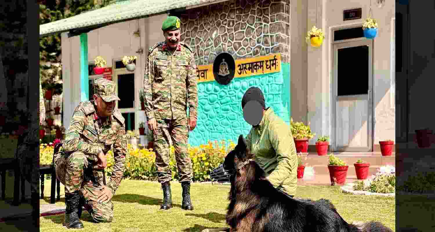 Assault dog ‘Tyson’ recovering from injuries (Photo@Whiteknight_IA) Assault dog ‘Tyson’ recovering from injuries (Photo@Whiteknight_IA)