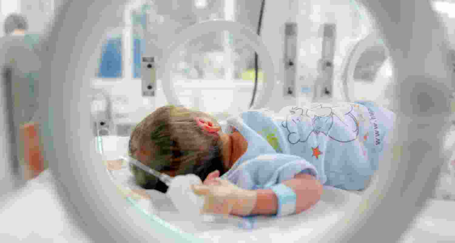 Study reveals how air pollution increases premature birth risk Study reveals how air pollution increases premature birth risk