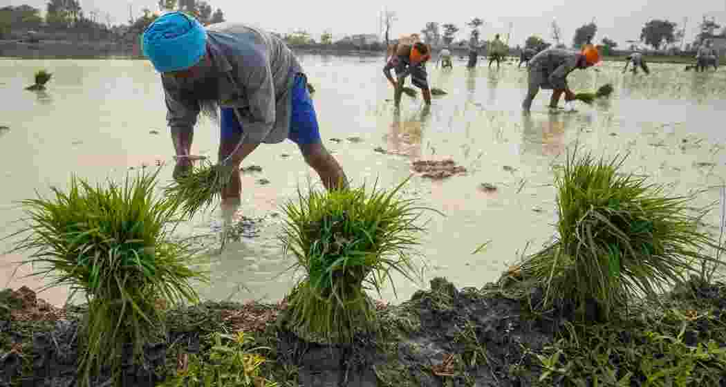 Representative Image Representative Image