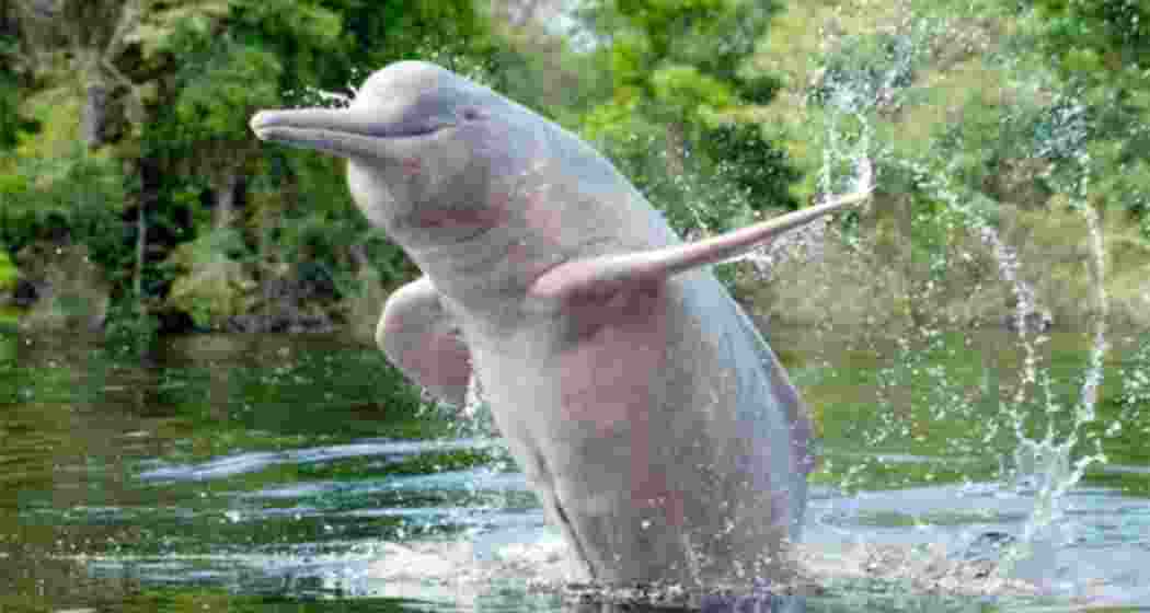 Image for representative use only. Image for representative use only.