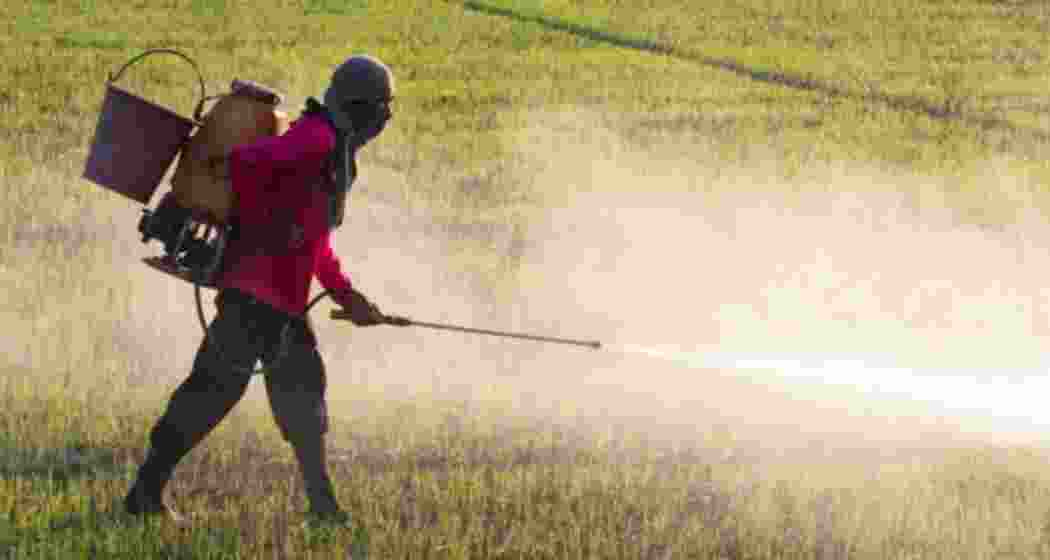 Representational image. Representational image.